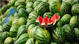 甜菜碱 —— 瓜果生长的营养守护神