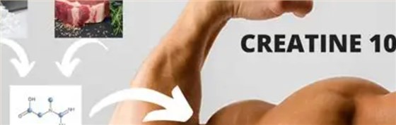 一水肌酸的作用效果