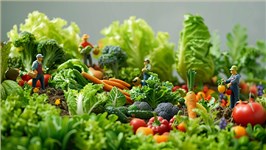 素食肌酸：植物基力量的秘密武器，助力健康与环保的未来！