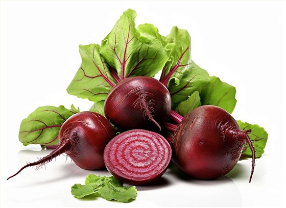 微信图片_20251222092422_1252_2