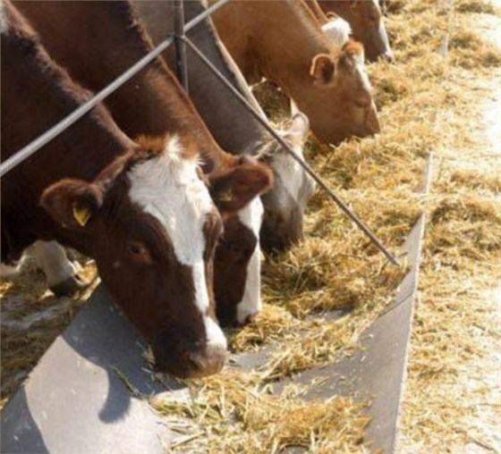 微信图片_20260106092425_1409_2