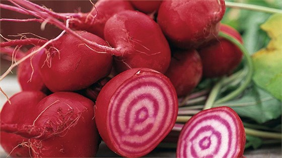 文章缩略图尺寸