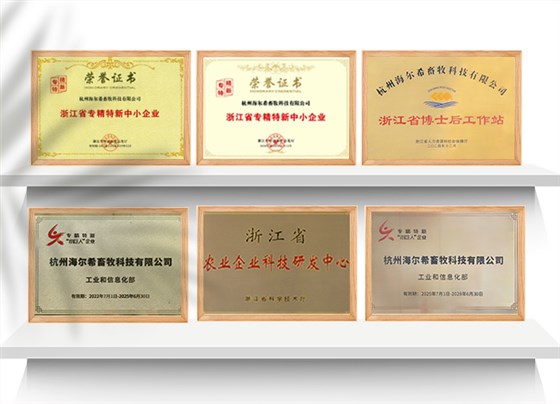 国内荣誉证书