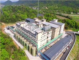 饲料甜菜碱采购：大厂备货看稳定性，别只盯着检测单