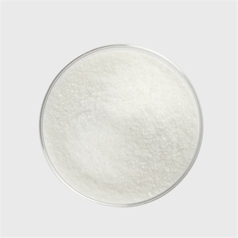 左旋肉碱base