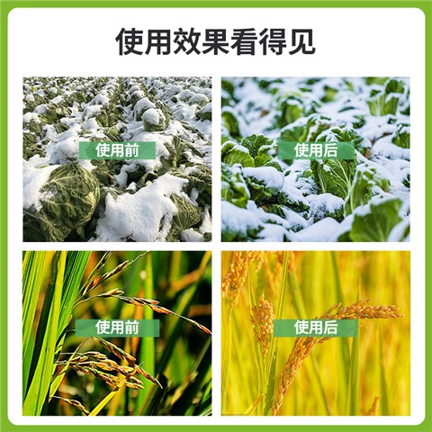 复方甘氨酸水溶肥