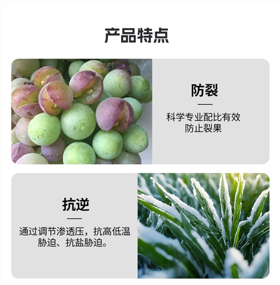 复方甘氨酸水溶肥_04