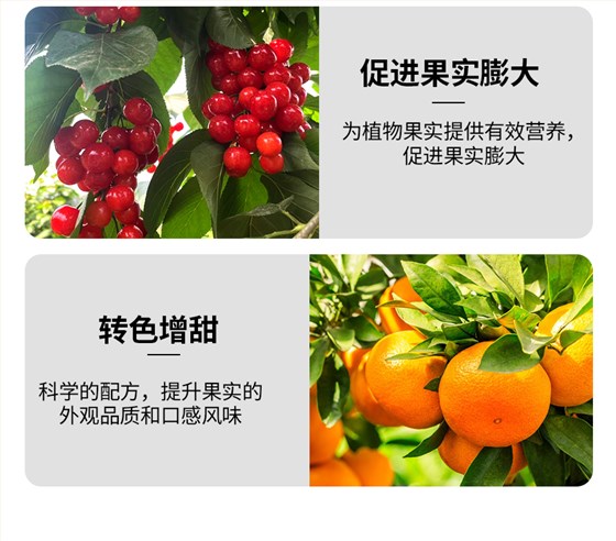 复方甘氨酸水溶肥_05