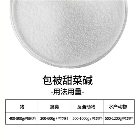 包被甜菜碱