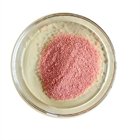 复合包被胍基乙酸