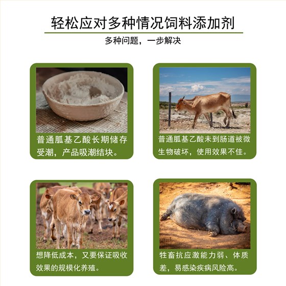 复合包被胍基乙酸 (2)