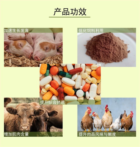 复合包被胍基乙酸 (3)