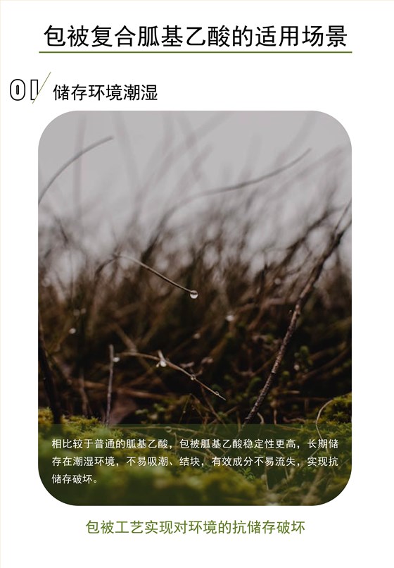 复合包被胍基乙酸 (5)