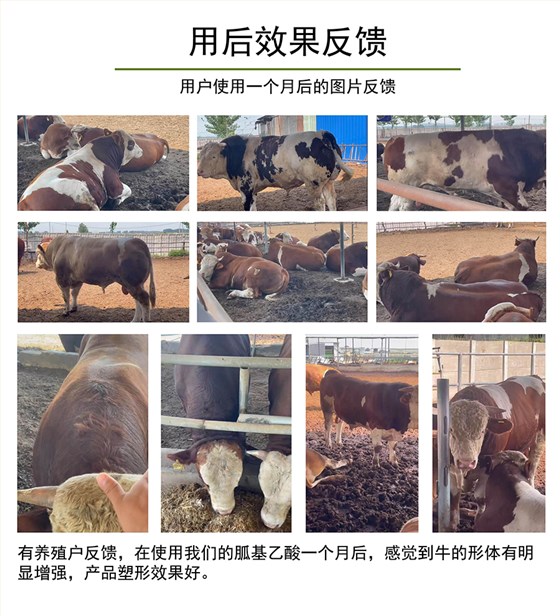 复合包被胍基乙酸-(8)