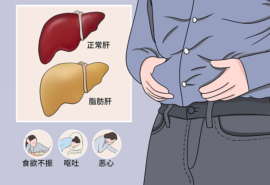 氯化胆碱：神经递质乙酰胆碱合成的必需物质 | 预防脂肪肝的奇迹