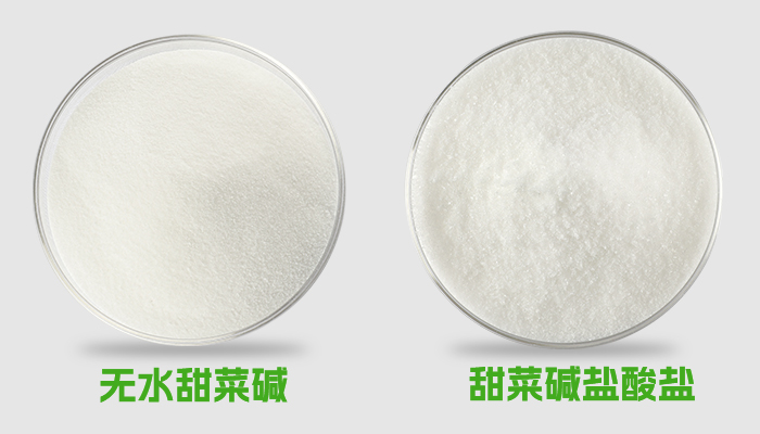 无水甜菜碱 VS 甜菜碱盐酸盐：谁才是甲基供体的终极王者？