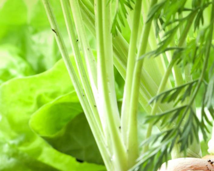 无水甜菜碱在农作物中的应用效果