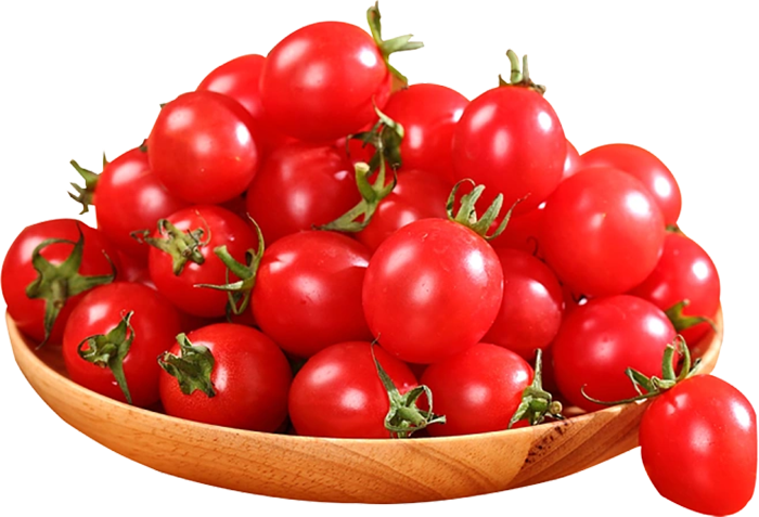 efc71584c4a4bcca78d91376e543060f1a74b8ac68680-Eu77vi