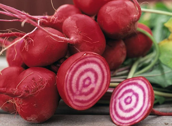 微信图片_20251215171122_1099_211