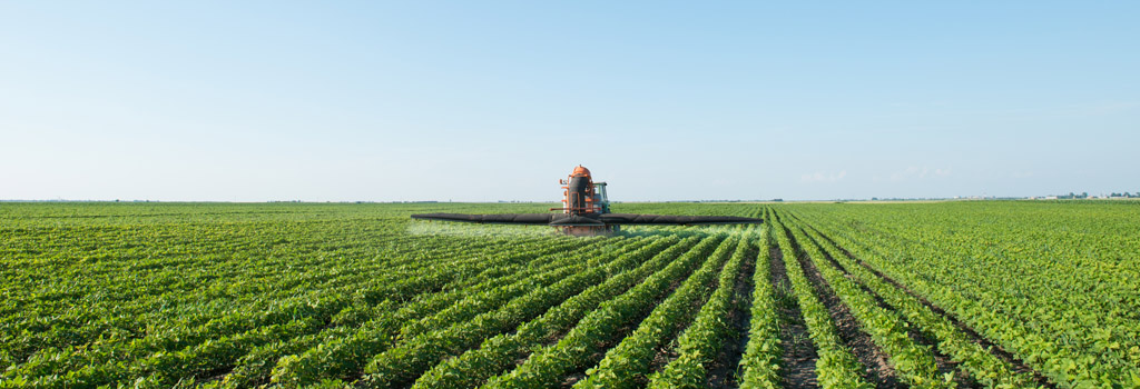 无水甜菜碱农业