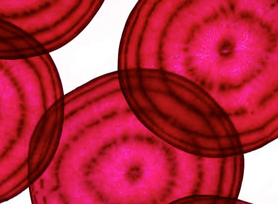 微信图片_20251223111122_1278_2