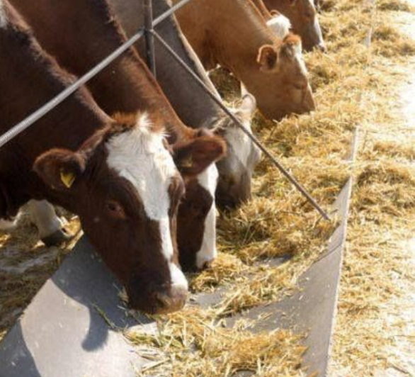 微信图片_20260106092425_1409_2