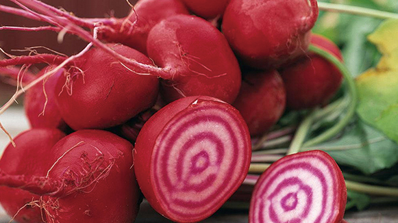 《甜菜碱：从古老作物到现代健康的“隐匿守护者”》