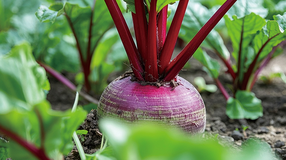 文章缩略图尺寸