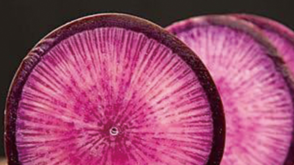 甜菜碱：从甜菜糖蜜到“万能选手”的多面人生