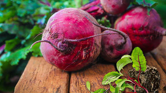 甜菜碱：从甜菜中走出的多功能营养卫士