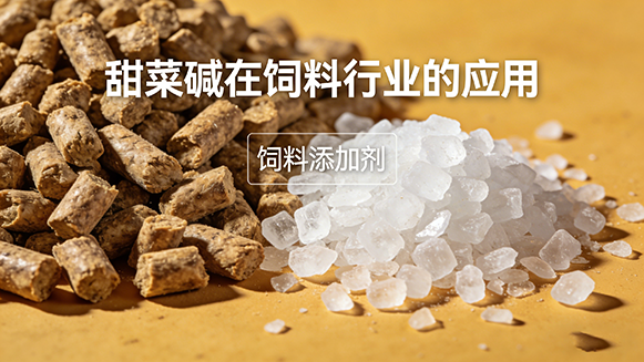 饲料级甜菜碱盐酸盐产品介绍