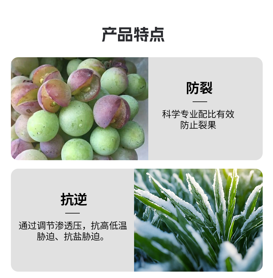 复方甘氨酸水溶肥_04