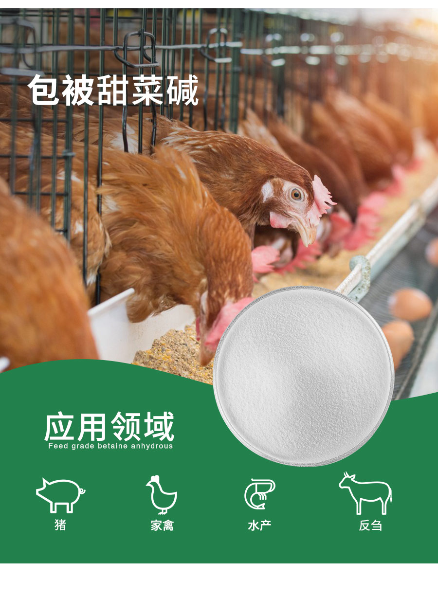 包被甜菜碱_03