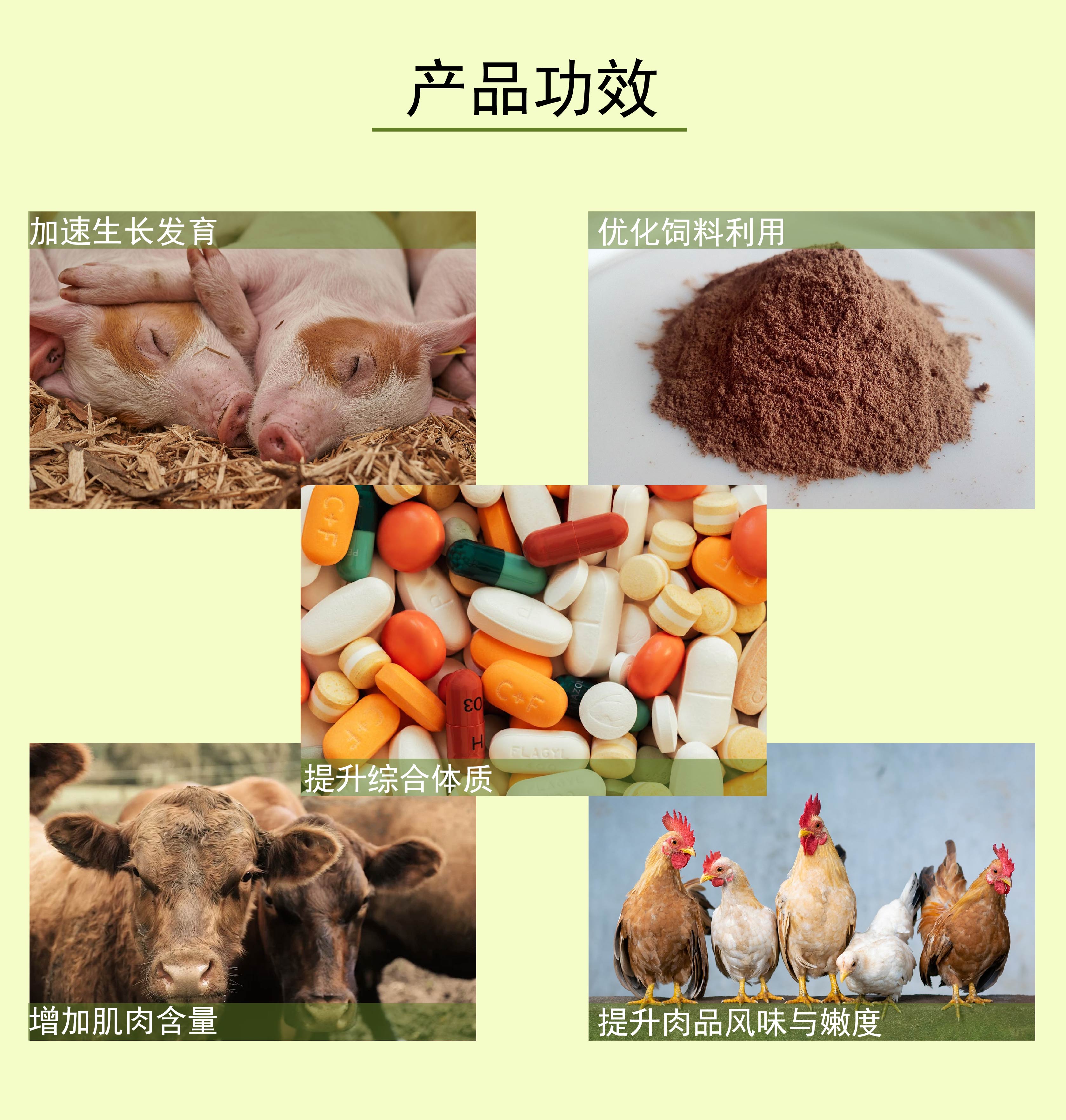 复合包被胍基乙酸 (3)