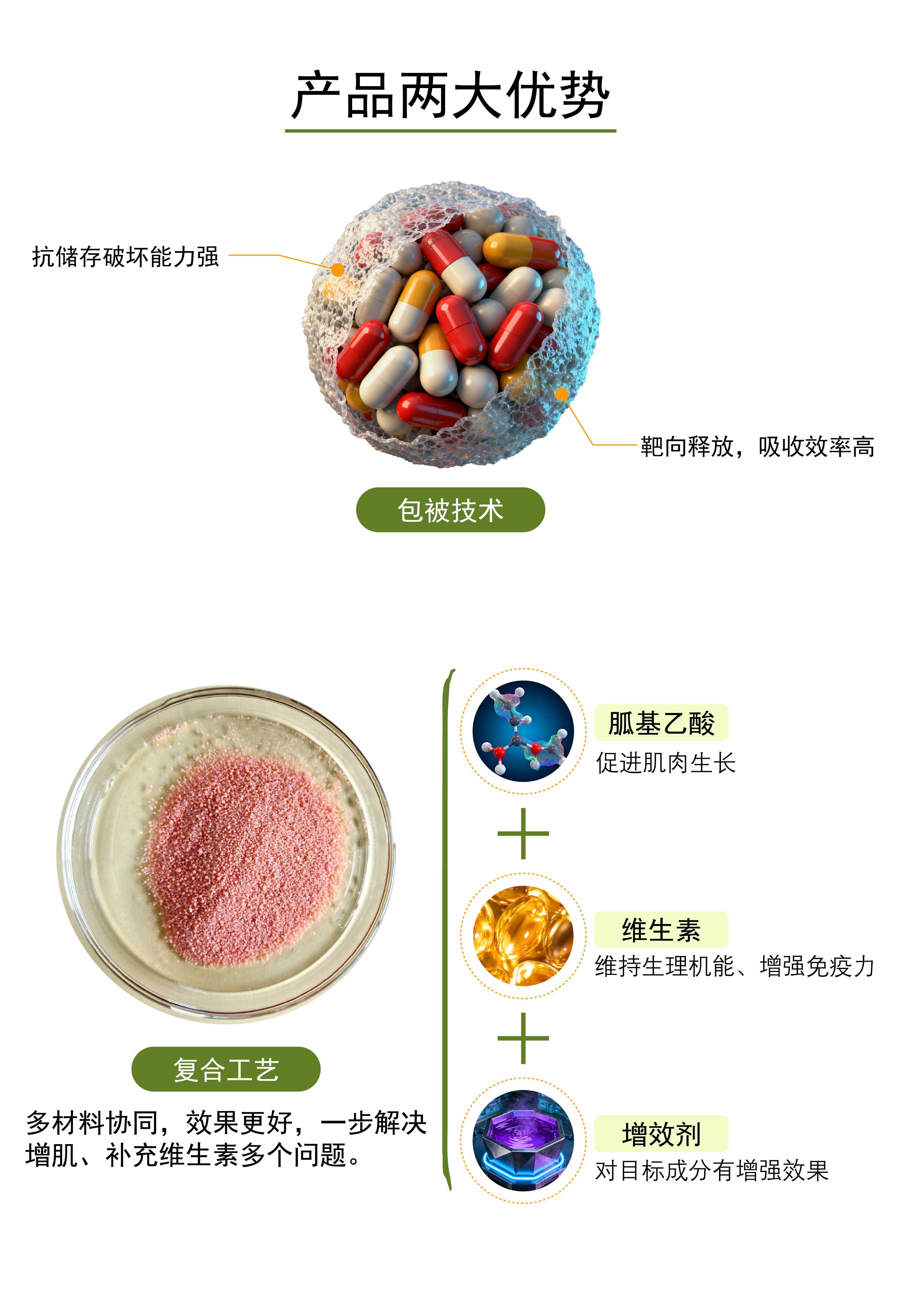 复合包被胍基乙酸 (6)