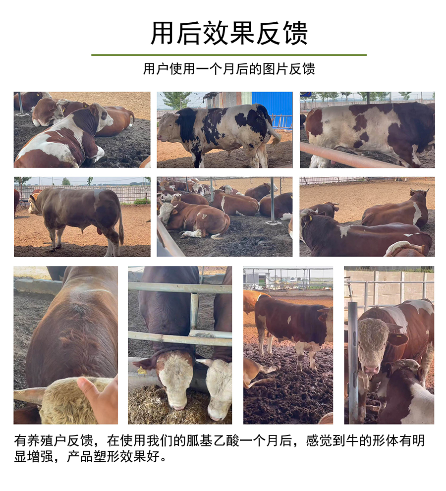 复合包被胍基乙酸-(8)