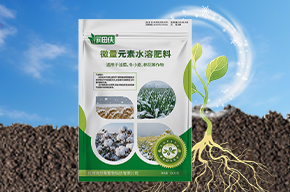 甘氨酸营养肥 甘氨酸营养肥