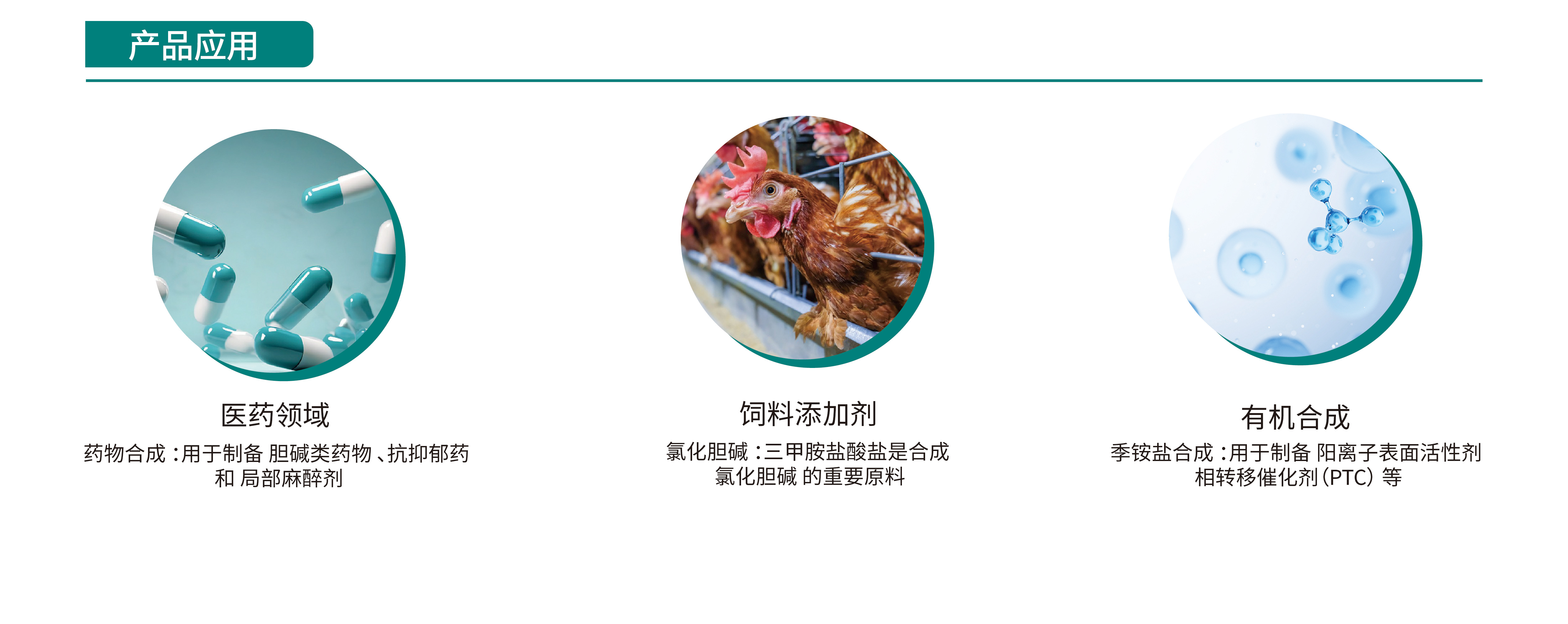 三甲胺盐酸盐